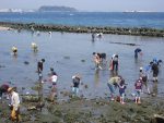 富津海岸潮干狩り 公園隣 18年の時間や混雑は 口ｺﾐや無料情報も
